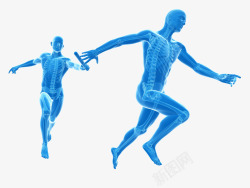 女人慢跑骨骼系统插画骨骼系统立体插画高清图片