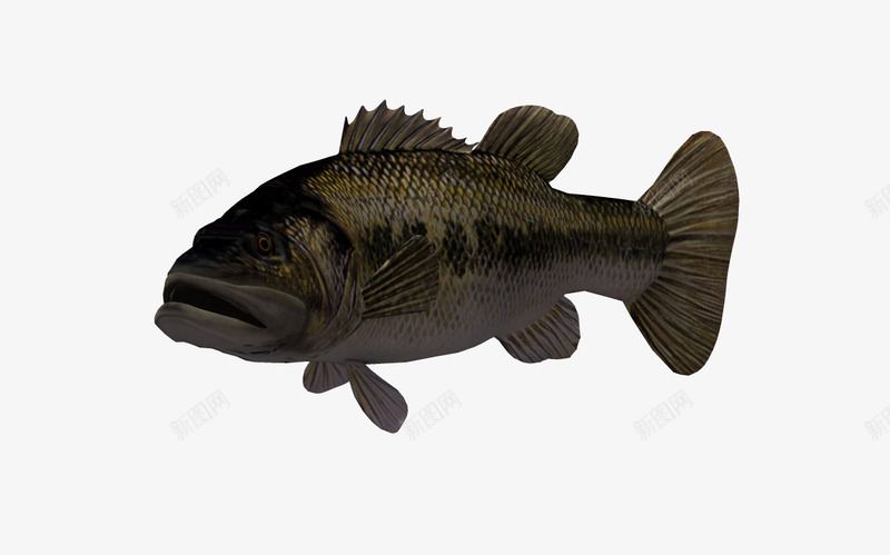 海洋动物3d卡通鱼png免抠素材_新图网 https://ixintu.com 3D 3d动物 海底动物 海洋 海洋素材 鱼
