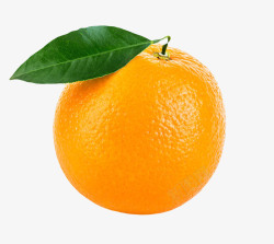 糖橙色香甜水果带叶子的奉节脐橙实高清图片