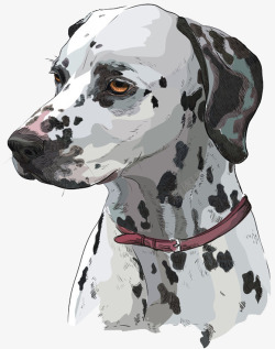 狗链图案手绘斑点狗戴着项圈链子高清图片