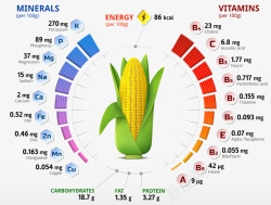 营养元素卡通玉米营养元素图高清图片