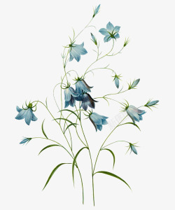 手绘蓝色丝带编织花朵手绘蓝色花朵植物高清图片