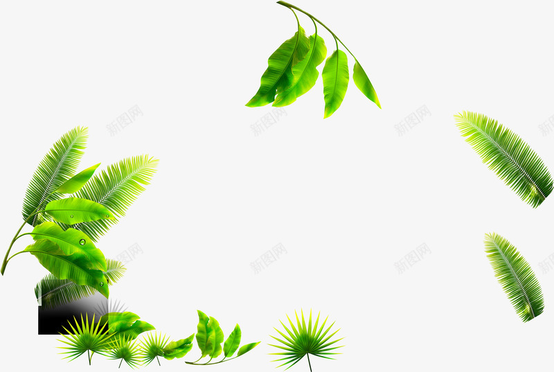 热带植物树叶夏天png免抠素材_新图网 https://ixintu.com 夏天 树叶 植物 热带