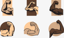 手臂训练肌肉训练图标高清图片