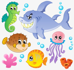 海底的水生动物素材