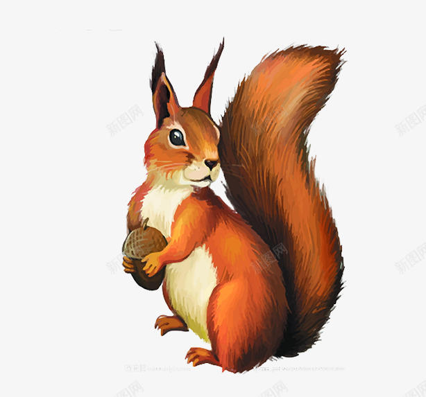 可爱的小松鼠片png免抠素材_新图网 https://ixintu.com 免抠素材小松鼠 抱着松果的小松鼠 棕色的小松鼠 背景图片小松鼠