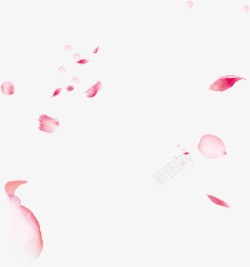 女神免扣元素漂浮玫瑰花瓣女神节高清图片
