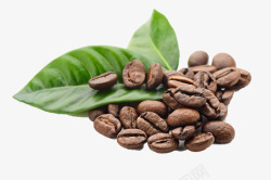 叶子和咖啡豆素材