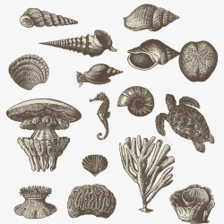 手绘海底小动物及植物素材