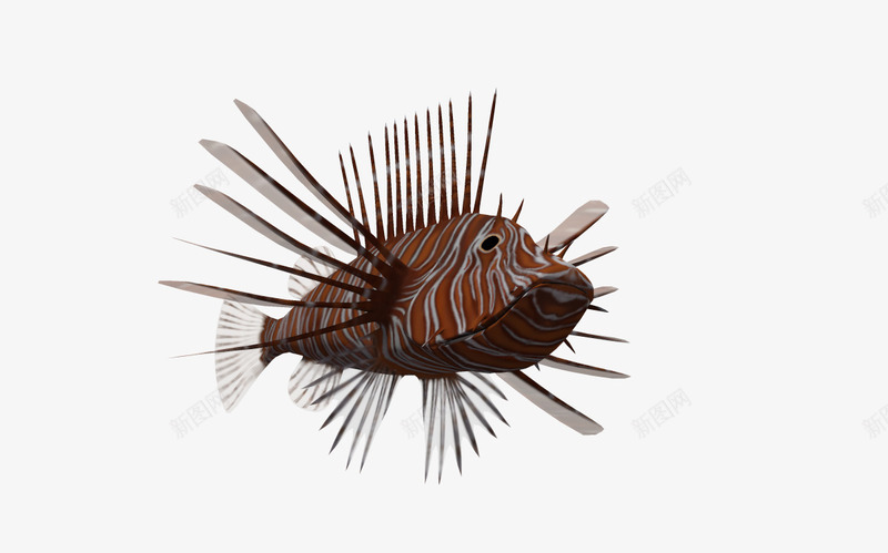海底3d鱼类png免抠素材_新图网 https://ixintu.com 3d卡通鱼 卡通动物 卡通鱼 海底动物 自然 鱼类