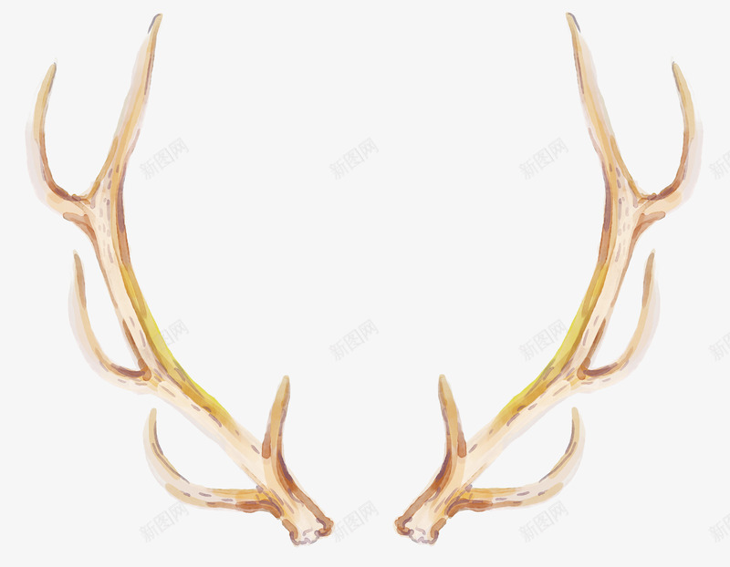 手绘鹿角png免抠素材_新图网 https://ixintu.com 动物角 水彩鹿角 黄棕色鹿角
