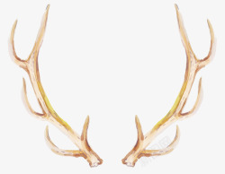 黄棕色鹿角手绘鹿角高清图片