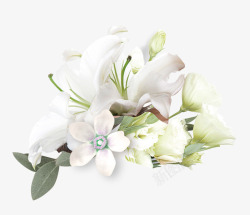 手绘百合设计素材清新百合花朵装饰高清图片