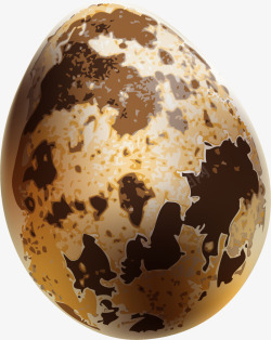 鹌鹑蛋食材美味黄色鹌鹑蛋高清图片