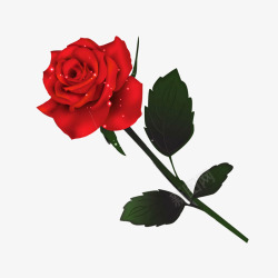 婚礼红玫瑰玫瑰花高清图片