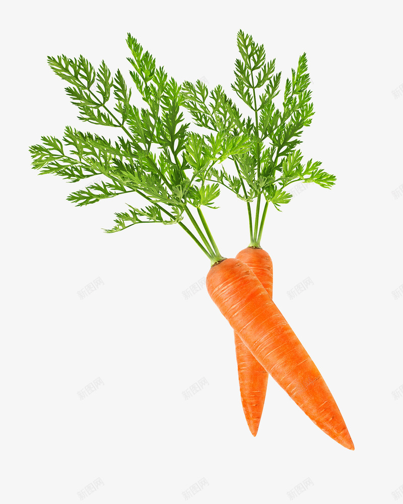 创意新鲜好吃的胡萝卜png免抠素材_新图网 https://ixintu.com 创意 好吃 新鲜 棕色胡萝卜 胡萝卜