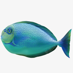 奇特的鱼模型蓝色石斑鱼矢量图高清图片