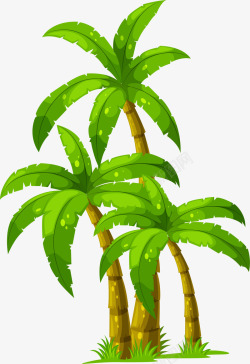 夏天茂盛绿色椰子树素材