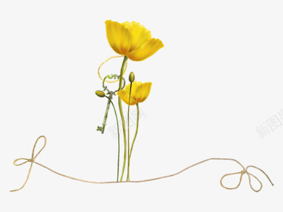 花蕾和迎春花黄色花朵png免抠素材_新图网 https://ixintu.com 花朵 花蕾 迎春花 黄色