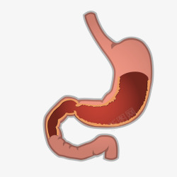 身体肠胃灰色圆弧肠胃元素矢量图高清图片