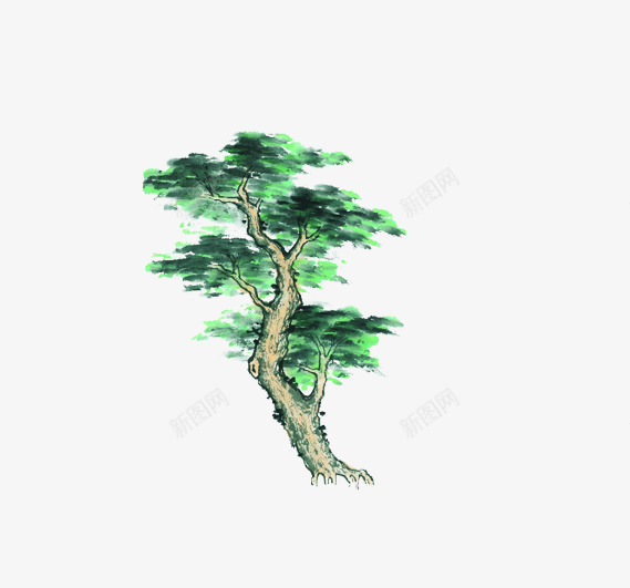 一棵松树png免抠素材_新图网 https://ixintu.com 手绘松树 简单的松树图片 绿化植物 长青树