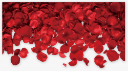 红色情人节玫瑰花瓣素材
