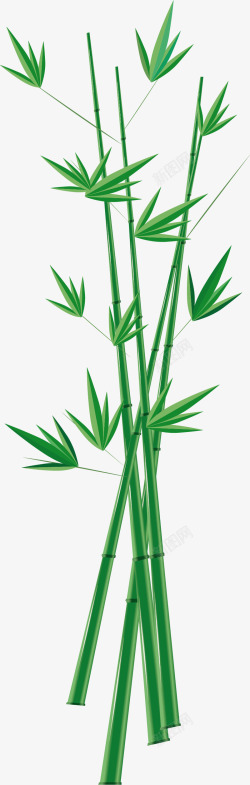 几支传统竹子高清图片