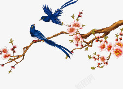 喜鹊梅花树枝上的喜鹊高清图片