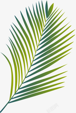 环境创意棕榈叶叶子图矢量图高清图片