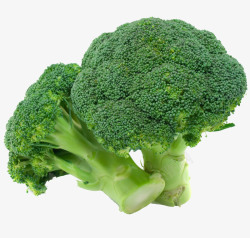 绿色健康实物西兰花绿色食品高清图片