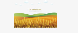 一片小麦地一片金黄色的小麦田矢量图高清图片