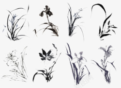 八种兰花水墨画素材