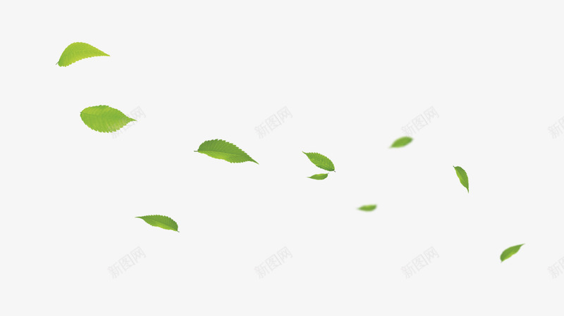漂动的绿叶png免抠素材_新图网 https://ixintu.com 叶子 树叶 漂浮 绿色 落叶