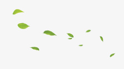 绿色落叶流动的绿叶高清图片