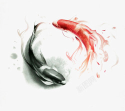 红黑背景图中国风金鱼高清图片