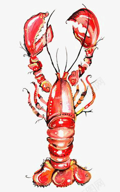 龙虾png免抠素材_新图网 https://ixintu.com 创意 卡通 大龙虾 手绘 料理 食物