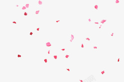 樱花花情人节妇女节三八节花瓣高清图片