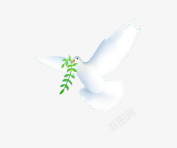 叼烟斗国庆节口叼橄榄枝和平鸽高清图片