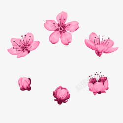 粉色水分手绘花朵桃花素材