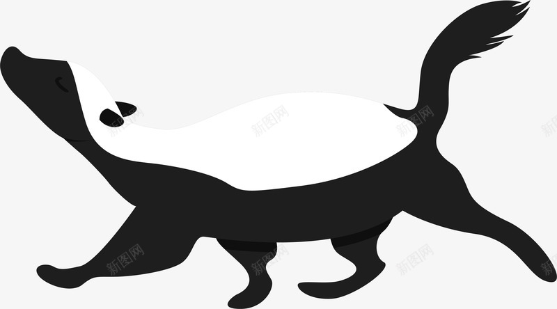 奔跑的黑白色蜜獾png免抠素材_新图网 https://ixintu.com 动物 卡通蜜獾 卡通风格 矢量蜜獾 蜜獾 黑白色