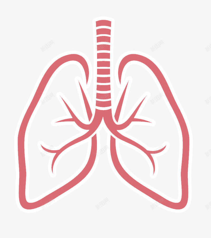 红色肝脏图标png_新图网 https://ixintu.com png png图片 免抠 免抠素材 吸烟有害身体 图标 简单 红色 肝脏
