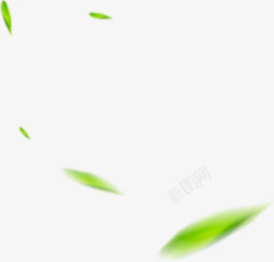 模煳绿色模糊树叶漂浮植物高清图片