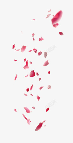 玫红装饰漂浮花瓣高清图片