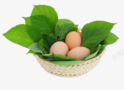 篮子里的鸡蛋png免抠素材_新图网 https://ixintu.com 包裹 叶子 安全 篮子里的鸡蛋