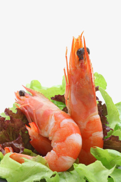 简单素色美食红虾仁图素材