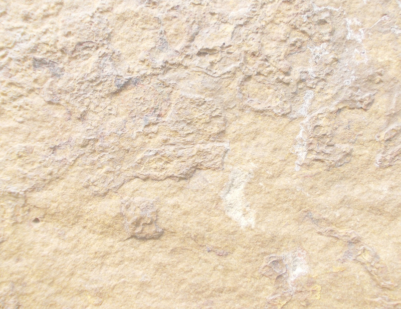 石头纹理砂石岩石横切面png免抠素材_新图网 https://ixintu.com 岩石 横切面 石头 砂石 纹理