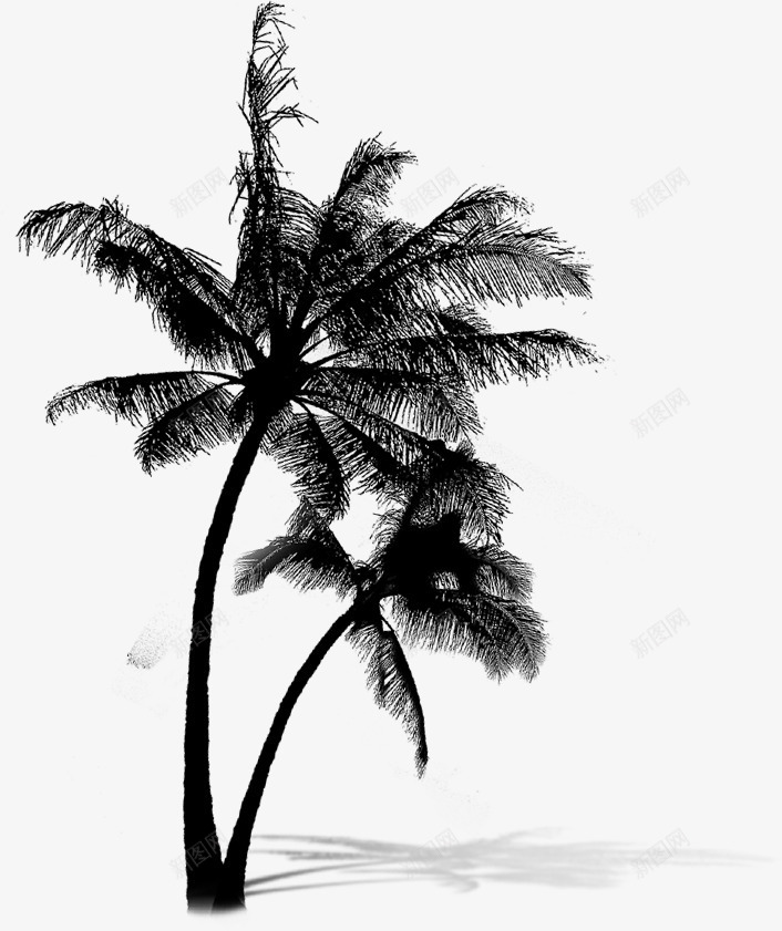 黑色椰子树夏天png免抠素材_新图网 https://ixintu.com 夏天 椰子树 黑色