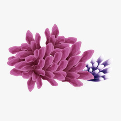 紫色海精灵素材