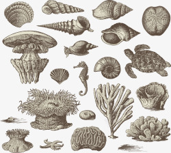 手绘海底动植物合集素材