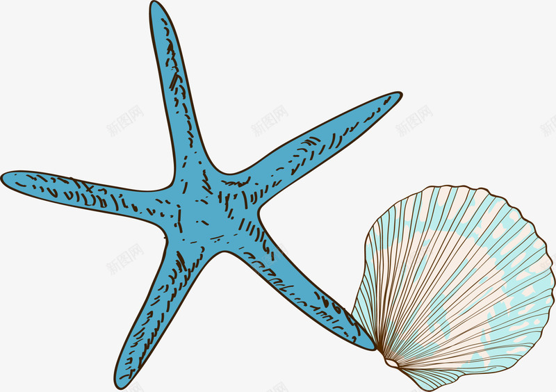 蓝色海星贝壳png免抠素材_新图网 https://ixintu.com 复古海星 大海 海底 海洋 蓝色海星 装饰图案 贝壳